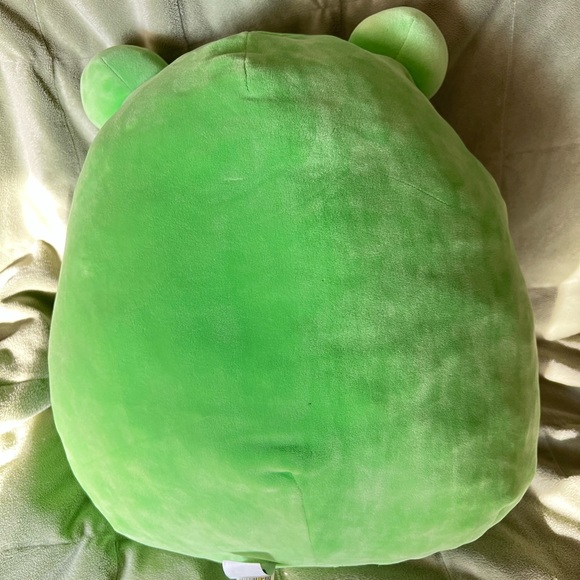 GUC Wendy Frog 14” ? Squishmallow - Picture 3 of 5